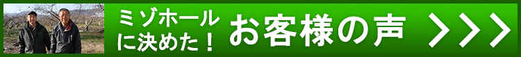 ミゾホールを選んだお客様の声